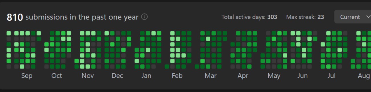 LeetCode yearly streak chart showing 810 submissions, 303 active days, and a 23 day max streak